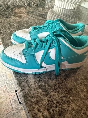 Nike Teal and White Dunks